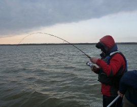 Рыбалка в заливах